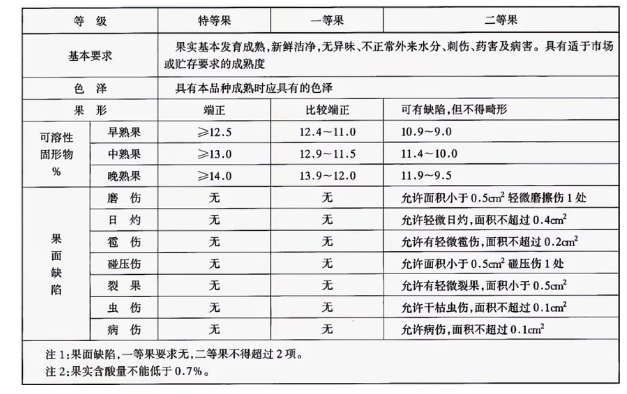 李子冷庫建造完成后如何用于儲存的？這些你都知道嗎